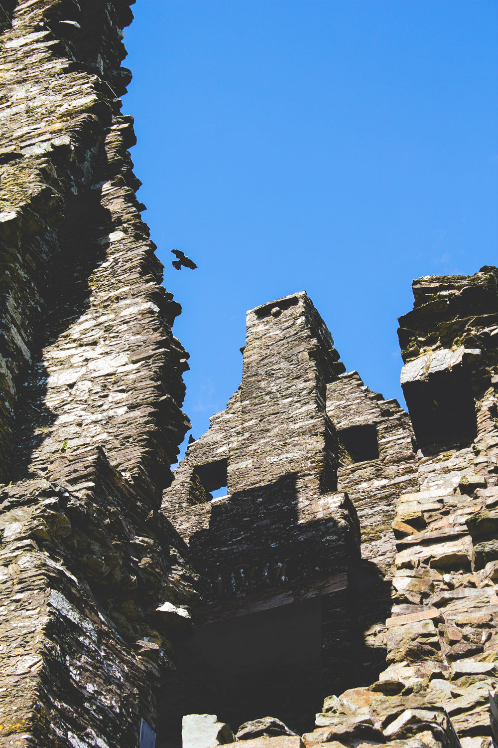 lone crow floats on wind up the wall of a rustic castle