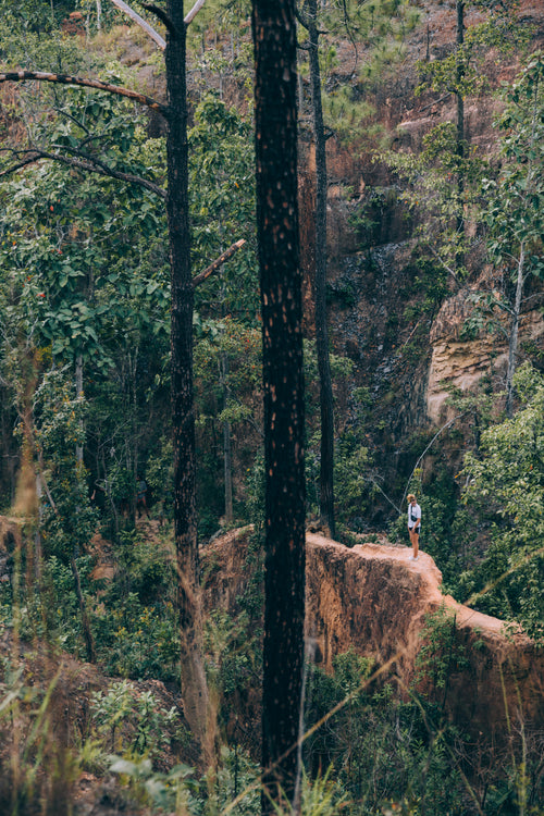 lone hiker standing in a forest