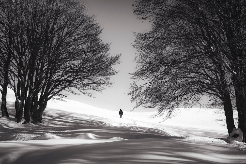 lone snow walk