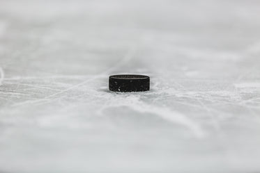 lonely black dot on the ice