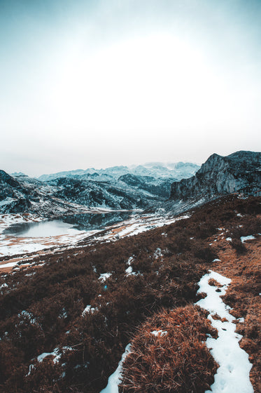 lonely fields ice water snow capped mountains