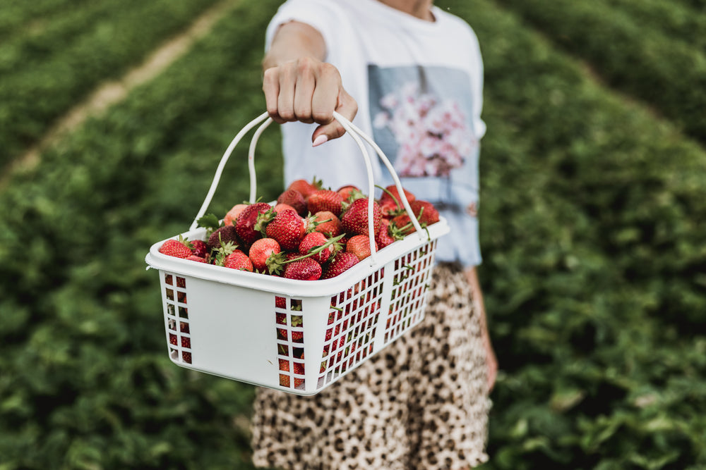 look at my strawberries