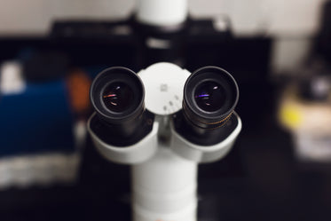 Free Look Through The Microscope Image: Browse 1000s of Pics