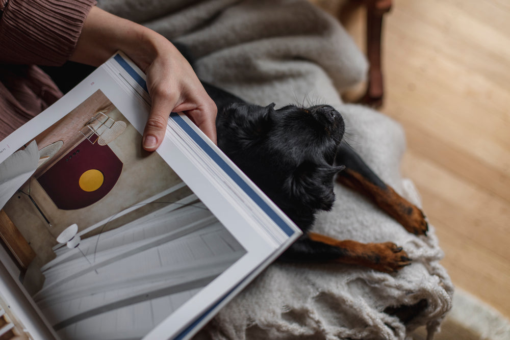 looking down at hand holding a book with puppy