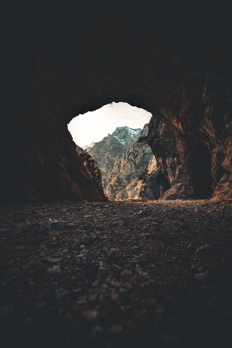 Looking Out From A Cave