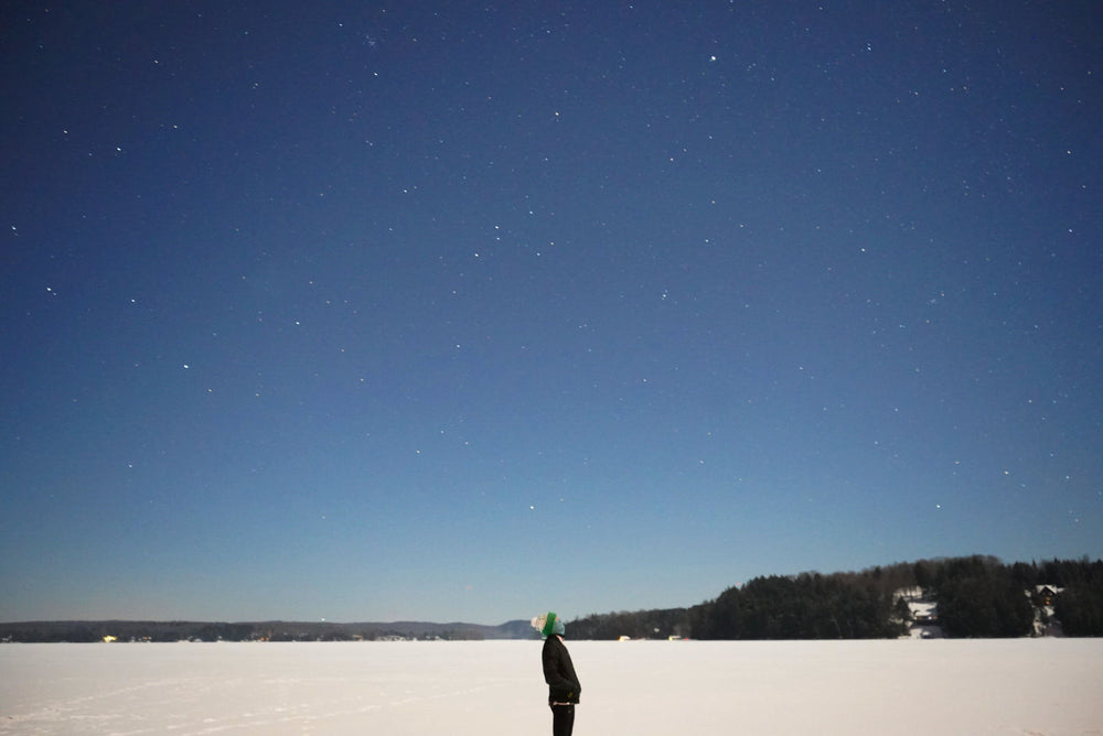 looking up at a starry winter sky