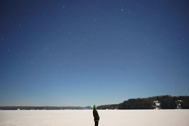 looking up at a starry winter sky