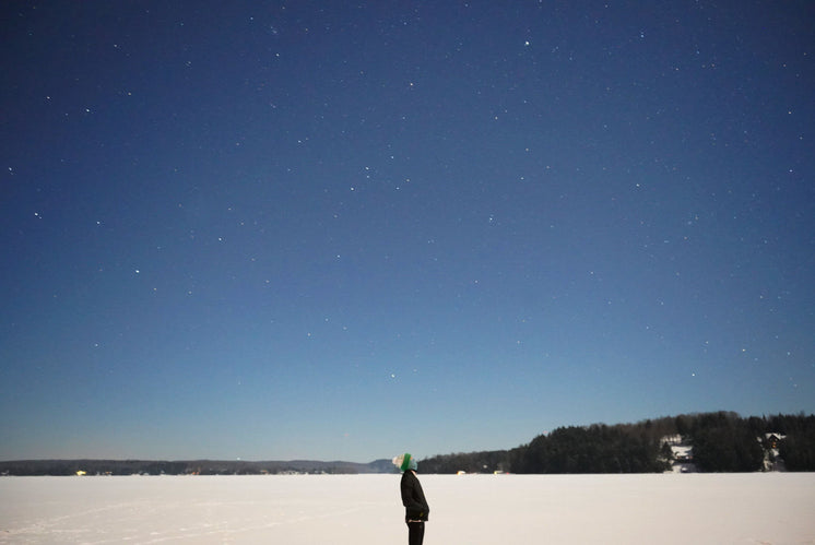looking-up-at-a-starry-winter-sky.jpg?width=746&format=pjpg&exif=0&iptc=0