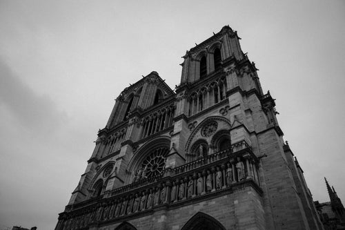 looking up at notre dame
