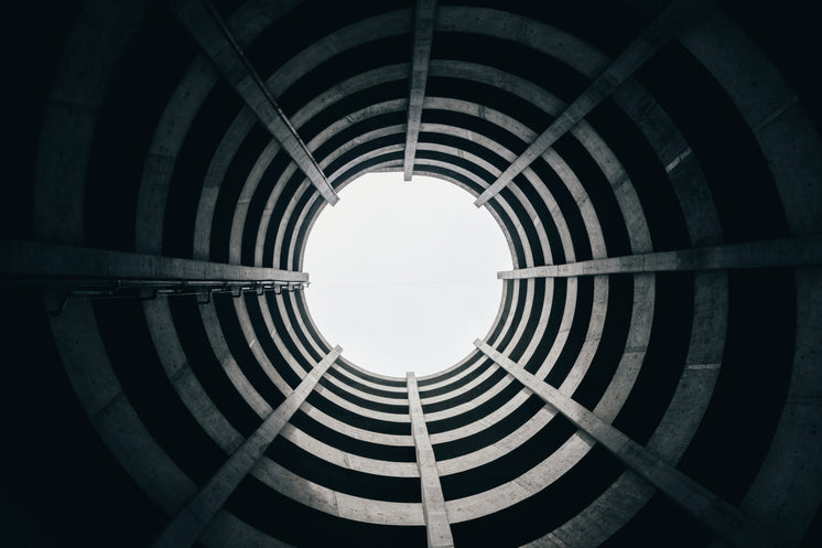 Looking Up In Circular Architecture