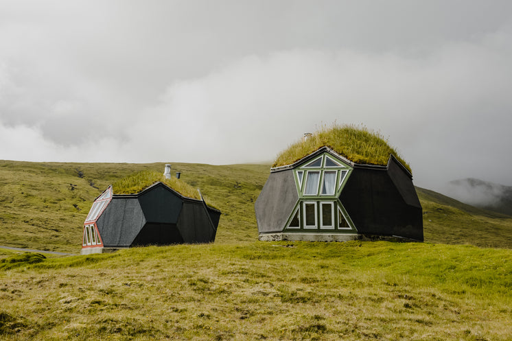 looking-up-the-hill-towards-two-geodesic-homes-in-the-fog.jpg?width=746&format=pjpg&exif=0&iptc=0