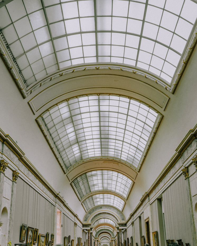 louvre-skylights.jpg?width=746&format=pjpg&exif=0&iptc=0