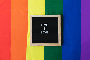 love is love with pride flag