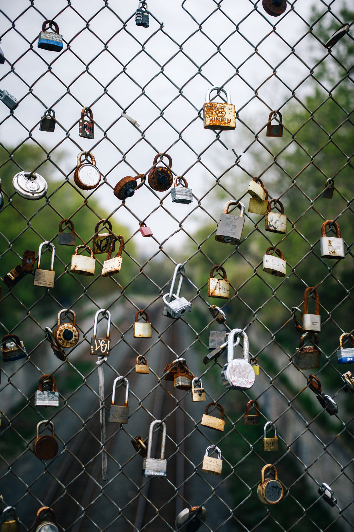 love locks on the fence