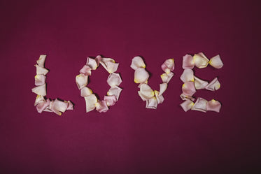 love written in rose pedals