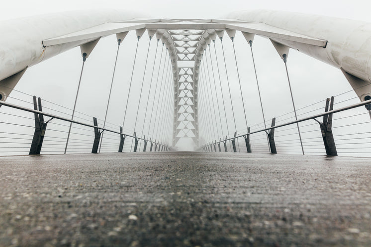 Low Angle Foggy Bridge