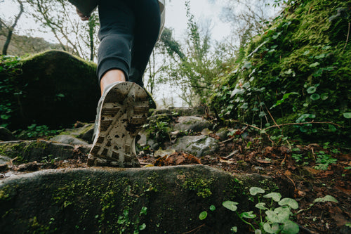 low angle of a person walking up stone steps through a forest