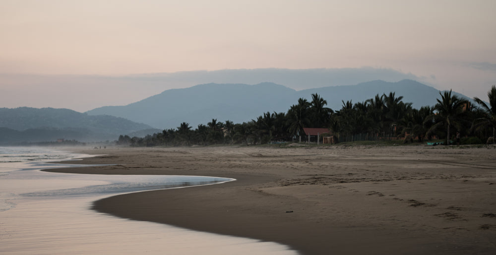 low tide at the beach house