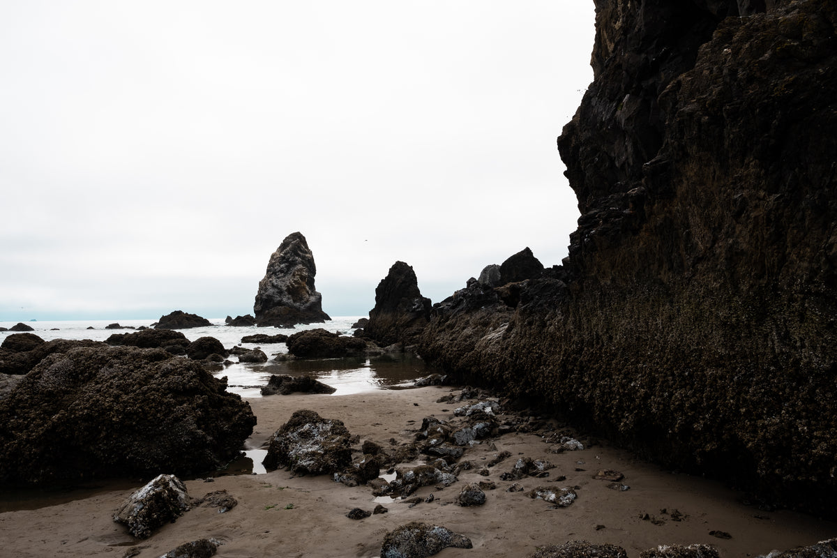 low tide rock formations
