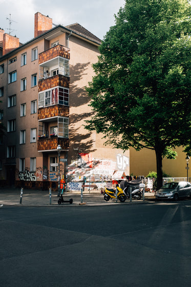 lowrise building with graffiti and a large green tree