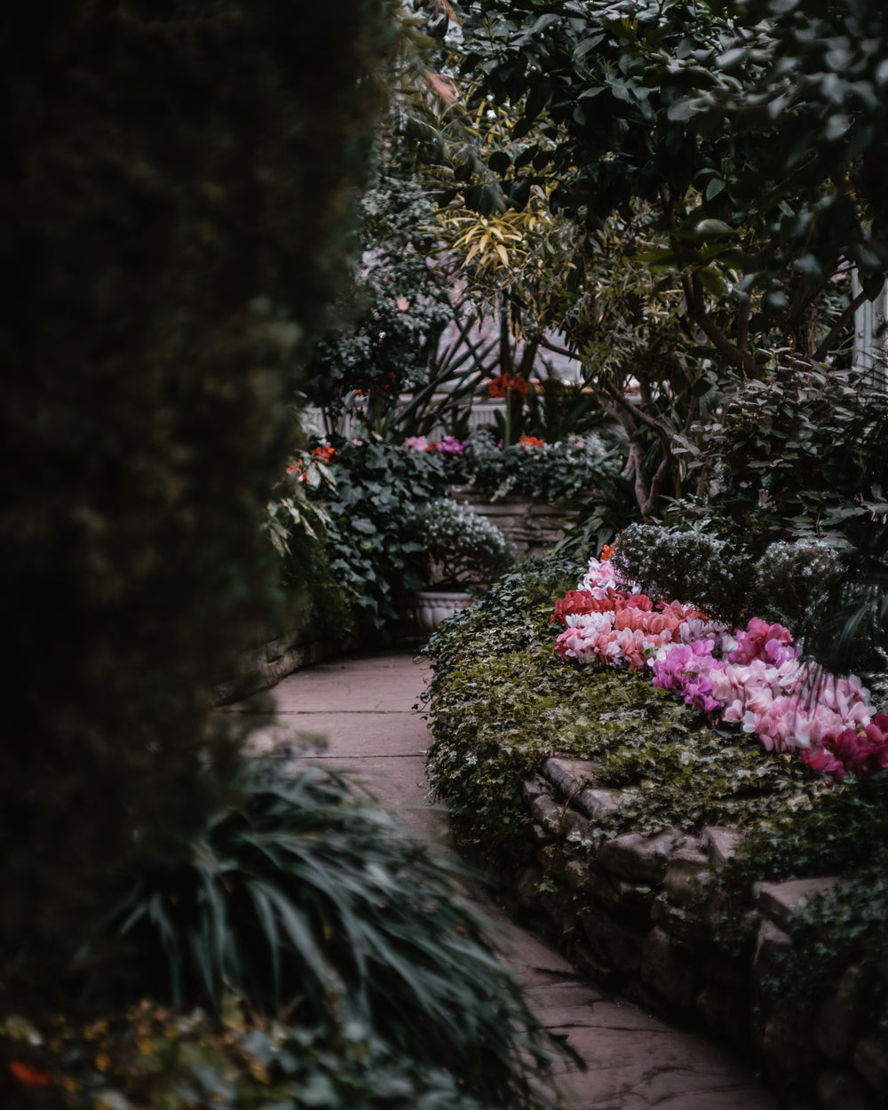 lush garden pathway