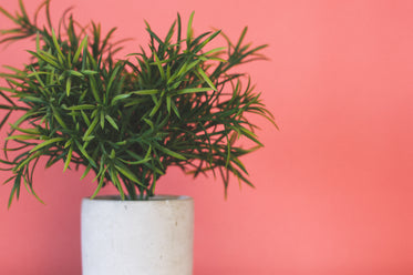 lush green artificial plant in pot