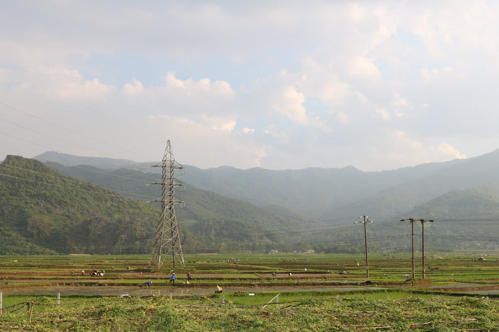 lush green farm field and tall metal structure