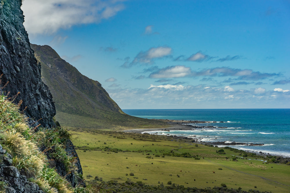 lush green on rocky hills near ocean