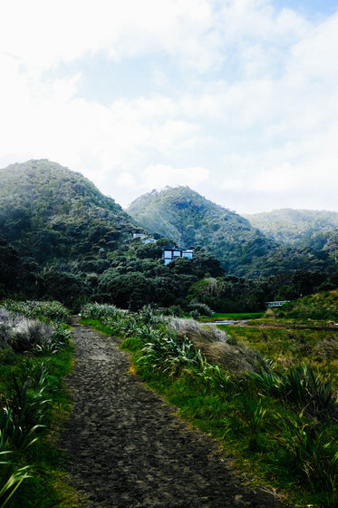 lush wilderness and hills