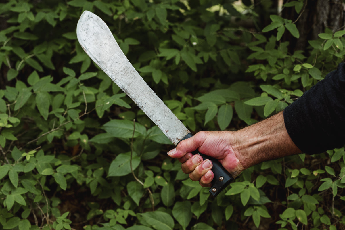 machete in hand in wilderness