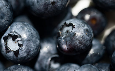 macro perspective of ripe blueberries