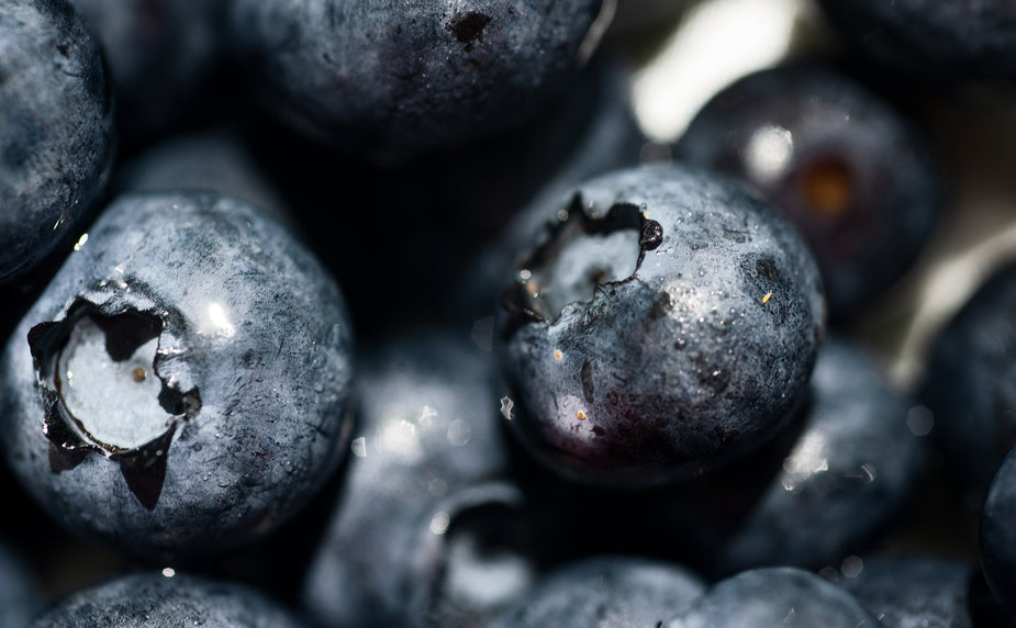 Browse Free HD Images of Macro Perspective Of Ripe Blueberries