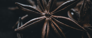 macro photo of star anise