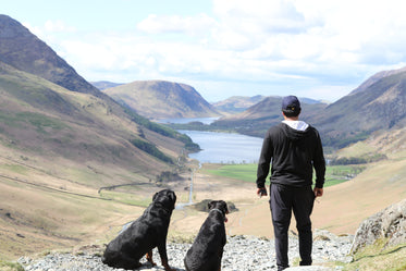 man and dogs admire valley