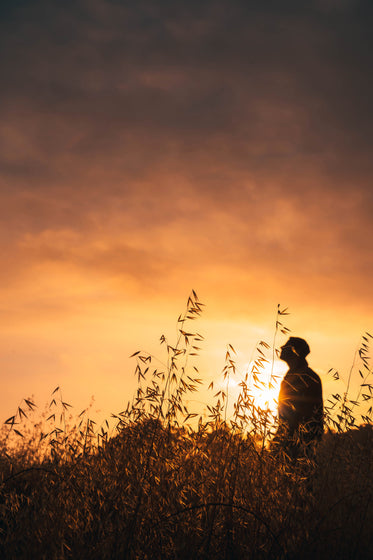 man in field at sunset