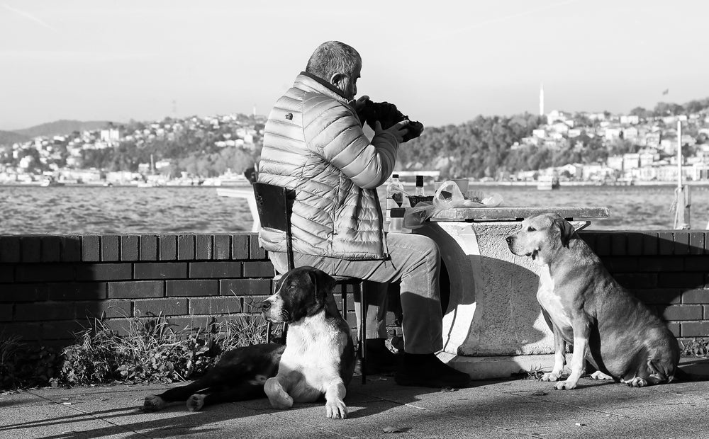 man sits outdoors with dogs beside him