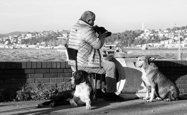 man sits outdoors with dogs beside him