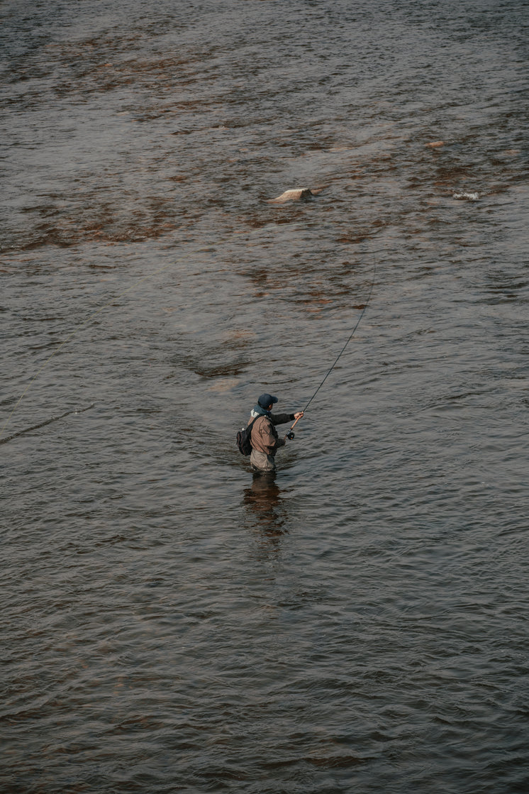 man-standing-in-the-river-with-a-fishing-rod.jpg?width=746&format=pjpg&exif=0&iptc=0