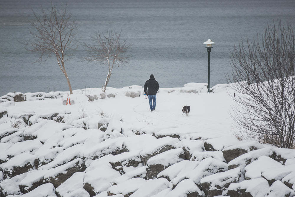 man walking dog in snow