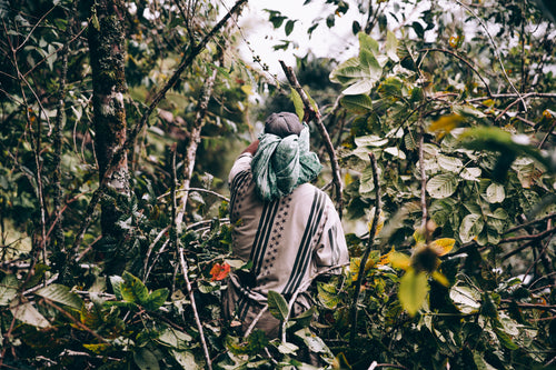 一个穿着宽松衣服的人穿过丛林