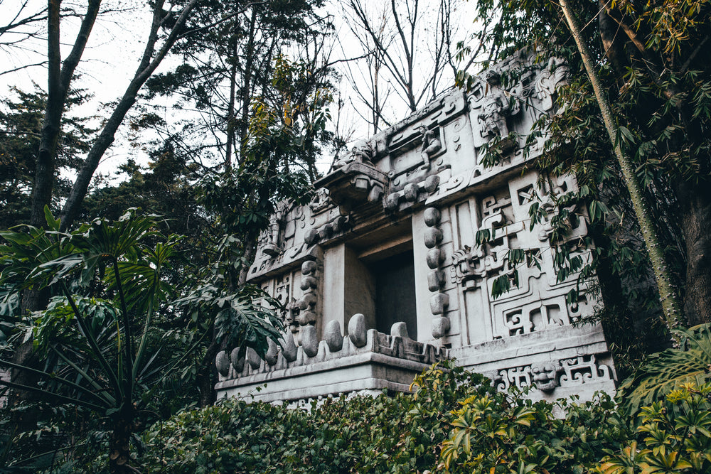 mayan ruins in jungle