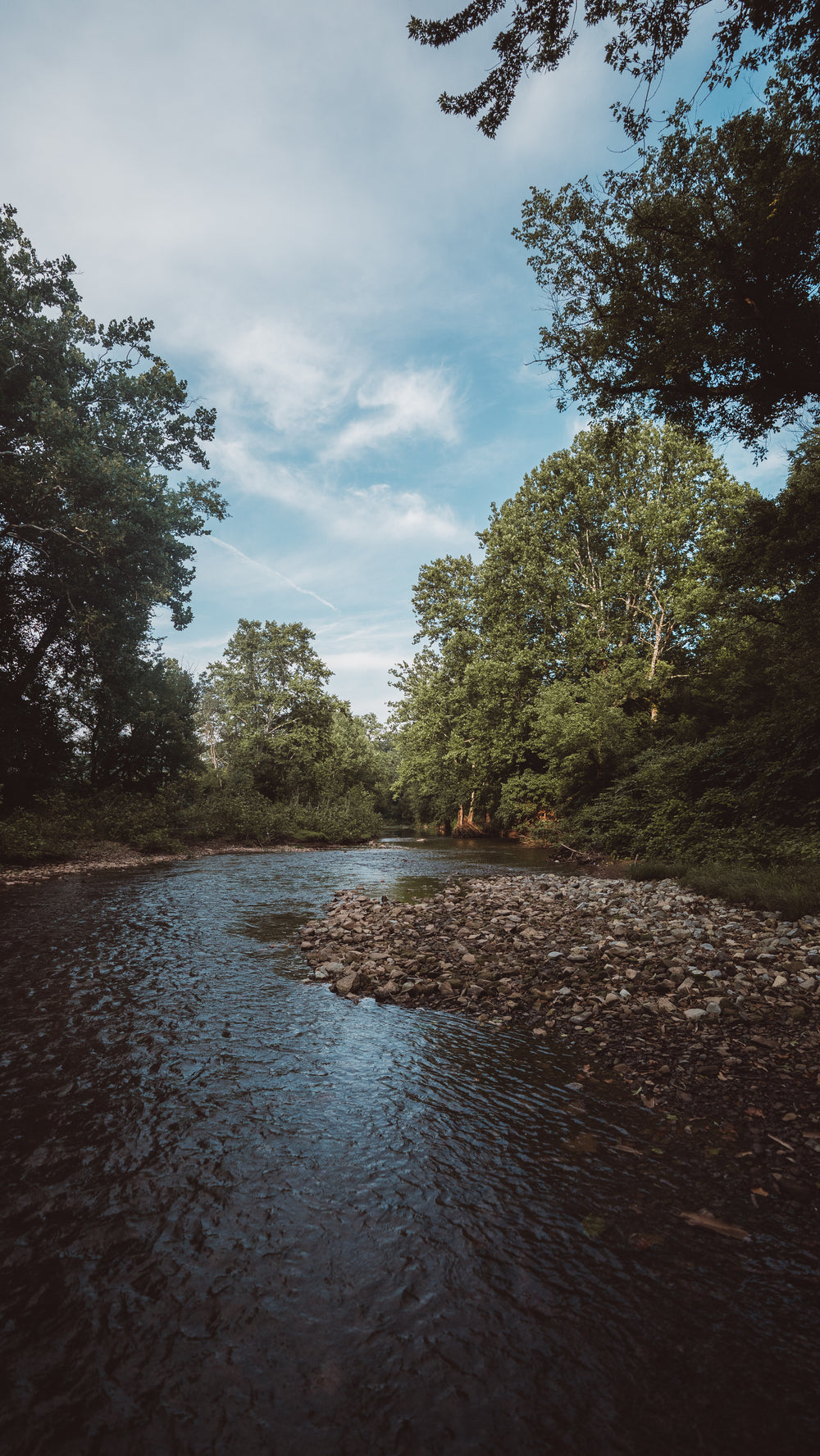 meandering shallow river