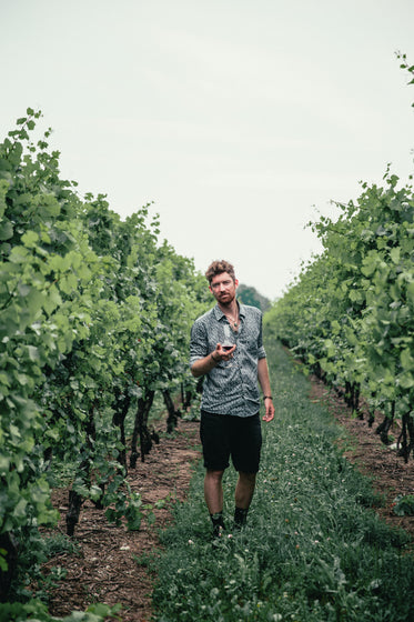 men's fashion stood in vineyard shirt and shorts