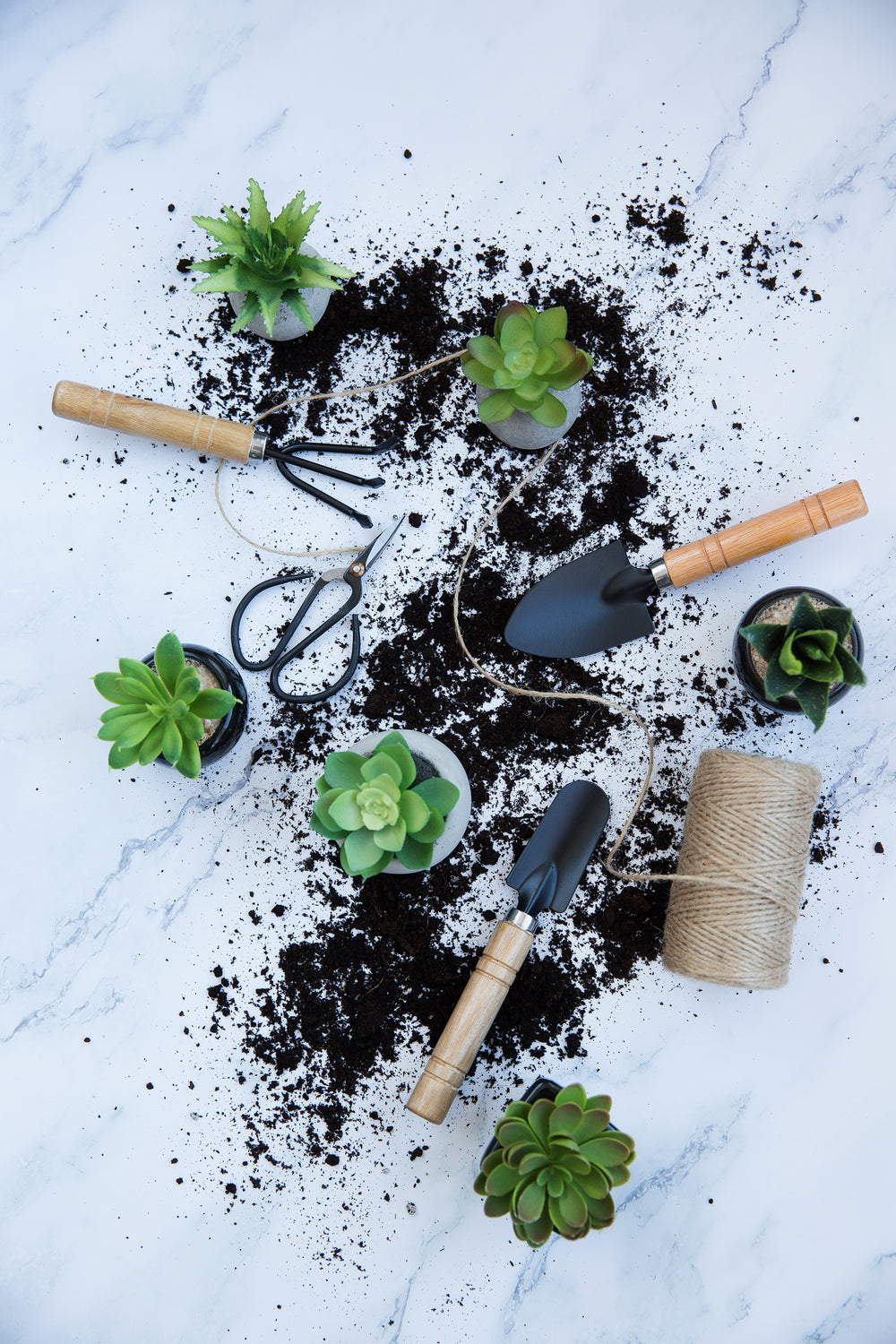 messy indoor gardening