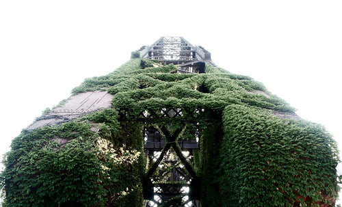 metal tower covered in a green vine