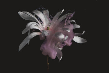 metallic-looking flower petals enveloped by pink smoke