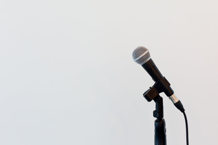 Microphone On Mic Stand