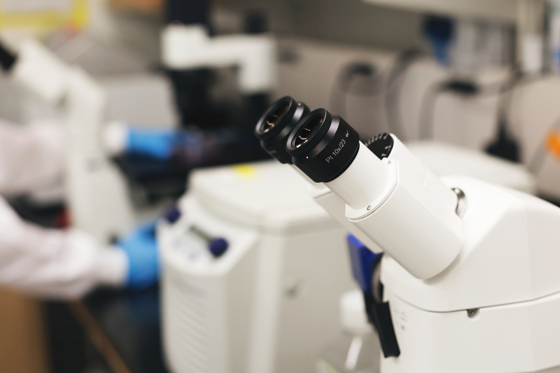 Picture of Microscope View — Free Stock Photo