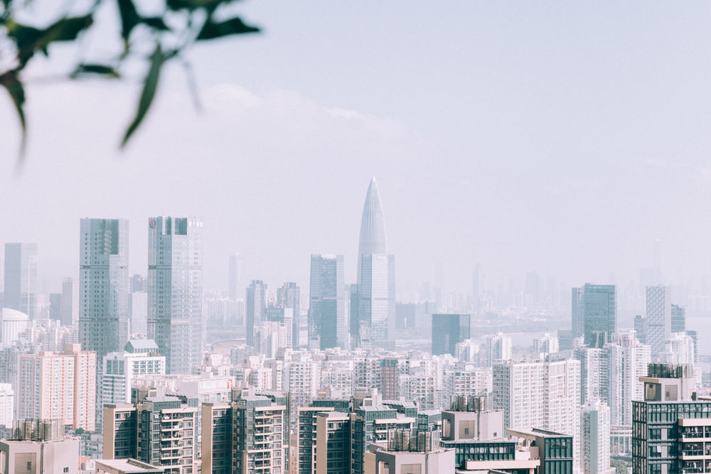 misty shenzhen