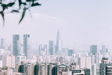 misty shenzhen